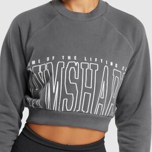 Gymshark Women's Gray Crop Top